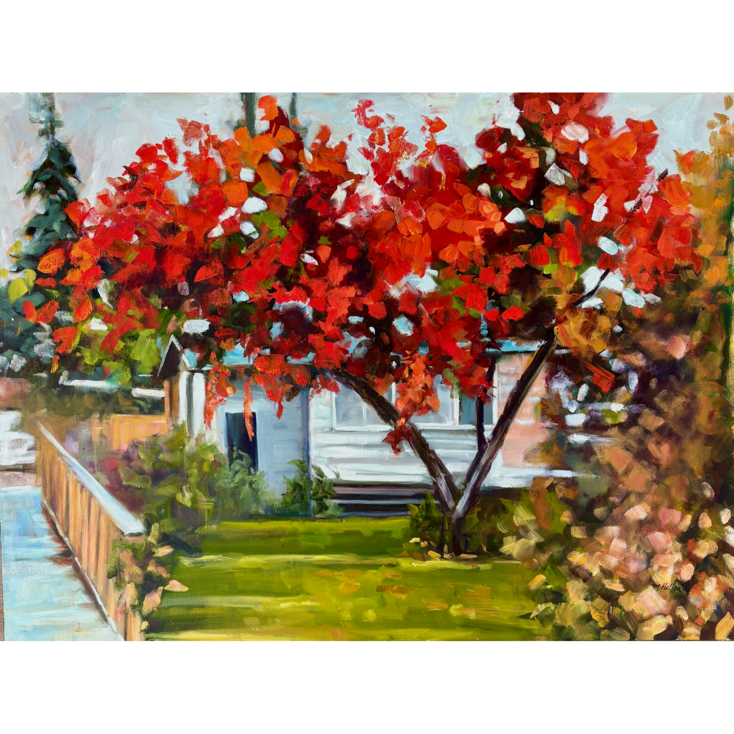 Red Tree on the Ridge